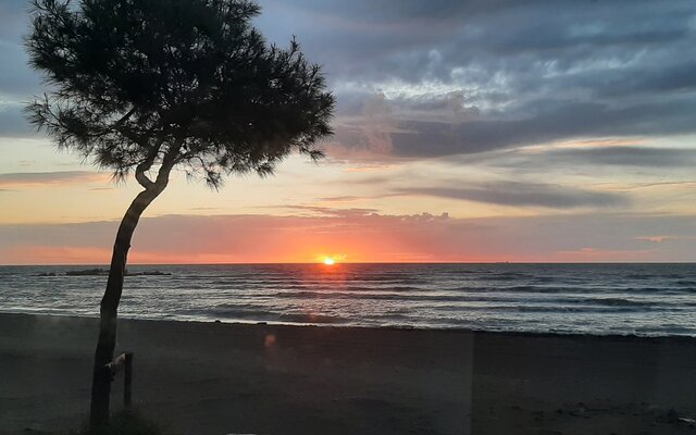 Sonnenuntergang am Strand mit Baum im Vordergrund