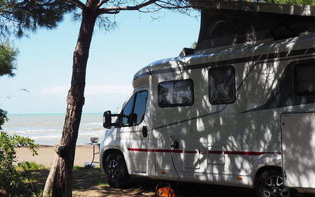 LMC Camper im Pinienwald am Strand