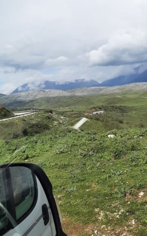 Blick aus Beifahrerfenster des LMC Campers auf grüne Landschaft