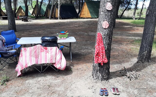 Campingtisch auf Campingplatz, im Hintergrund Zelte und Pinien