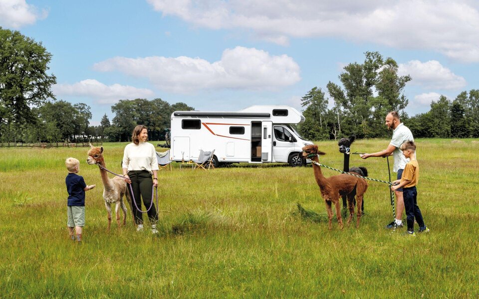 Familie mit zwei Alpakas für dem LMC Wohnmobil Tourer Alkoven